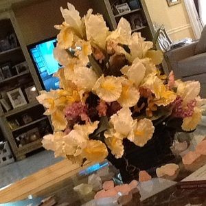 Meet your Posher, Clementine